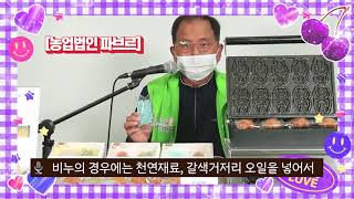 사슴벌레비누와 장수풍뎅이빵 | 제3회 곤충의 날 랜선 홈쇼핑