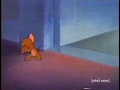 Tom And Jerry On Adult Swim June 2005 Totally Real And Rare Please Read Description
