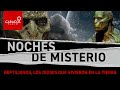 Reptilianos Los Dioses Que Vivieron En La Tierra Caracol Radio