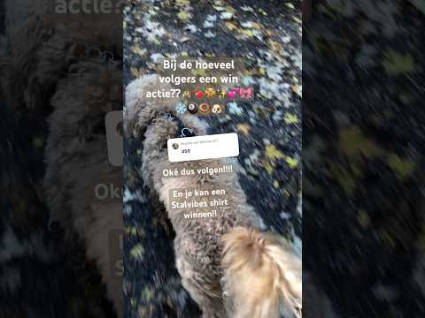 Volgen!!!! #stalvibes