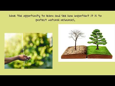 Recycling That Will Be Amazing