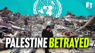 ‘This Should Terrify Everyone’: Craig Mokhiber Slams UNSC Resolution on Gaza