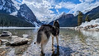 My Husky Adventures In The Stunning Canadian Rockies!