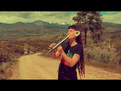 Melodicuts : MORGANA meets MOLDEVIK - STEPPIN' FLUTE