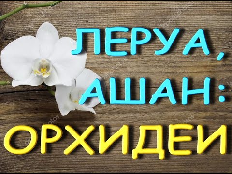 Леруа:АРКС РЕЙ,пелорики,ПОТРЯСАЮЩИЙ завоз ОРХИДЕЙ.Орхидеи в АШАНЕ,ТЦ "Космопорт",Самара,09.07.21.