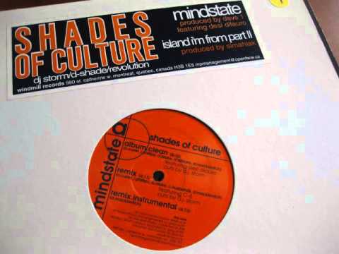 Shades Of Culture - Mindstate feat. C-4 (Remix) (1998)