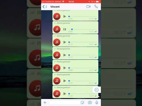 Familie Ritter Sprachnachrichten #4 - [R.I.P KARIN RITTER]