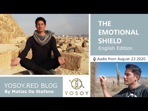 Matías De Stefano, Day 20 EMOTIONAL SHIELD, YOSOY.RED BLOG: Toroid, Emotional,Leo, Read by Joan 8/23