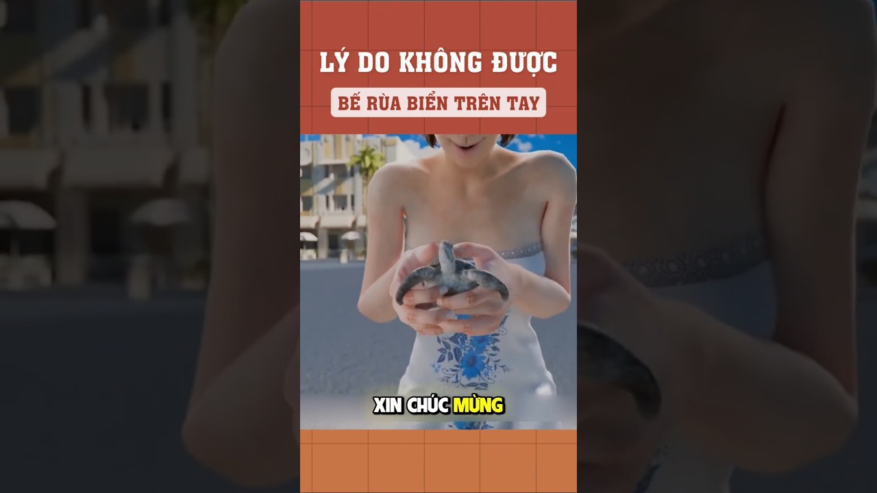 Lý do không được bế rùa biển trên tay