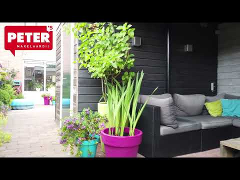 Te koop Schonauwen 8 Roden