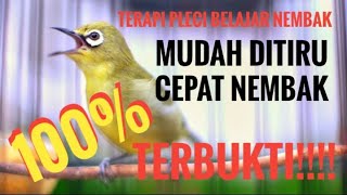 Download lagu TERAPI PLECI BELAJAR NEMBAK, MUDAH DITIRU !!!!! mp3 Download lagu TERAPI PLECI BELAJAR NEMBAK, MUDAH DITIRU !!!!! mp3