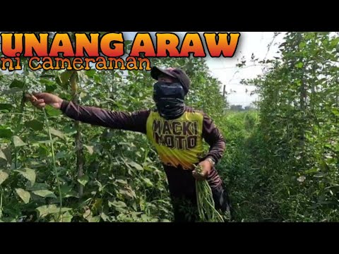 EP630: Unang Araw ni Cameraman