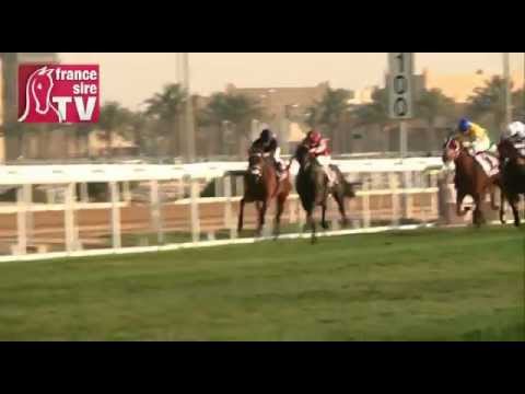 Qatar Emir Trophy : Victoire de Very Nice Name pour Alban de Mieulle et Olivier Peslier