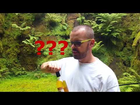 Kings of mead odc. 24 - Degustacja miodu pitnego Garden mint mead