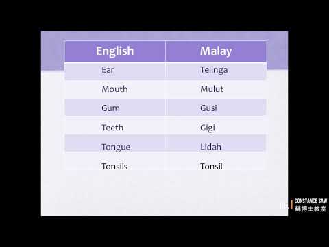 Common Medical Terms: English to Malay (Part 1): 常用医学术语：英语到马来语第1课（第1部分)