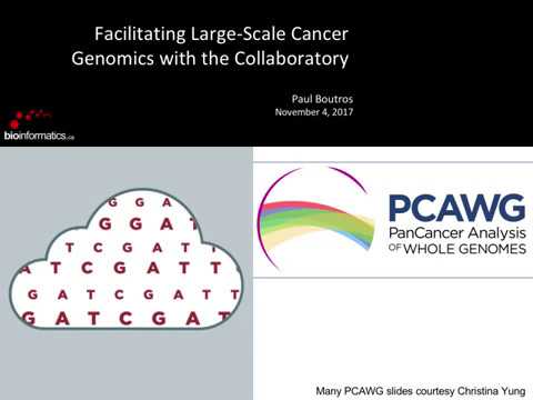Large-Scale Cancer Genomics with the Collaboratory