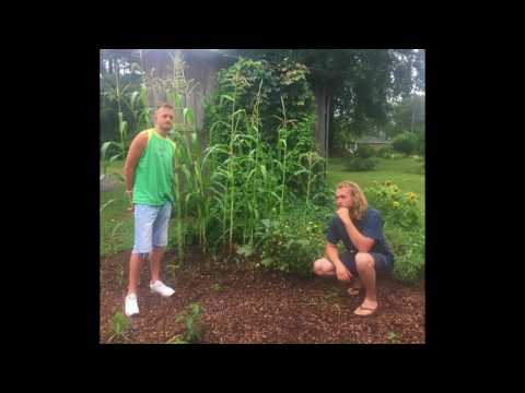 download lagu mp3 mp4 Glebe Trotters, download lagu Glebe Trotters gratis, unduh video klip Glebe Trotters