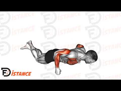 Pompes sur les poings à genoux - Exercice Pompes sur les poings à genoux en vidéo Pompes sur les poings à genoux - Exercice Pompes sur les poings à genoux en vidéo