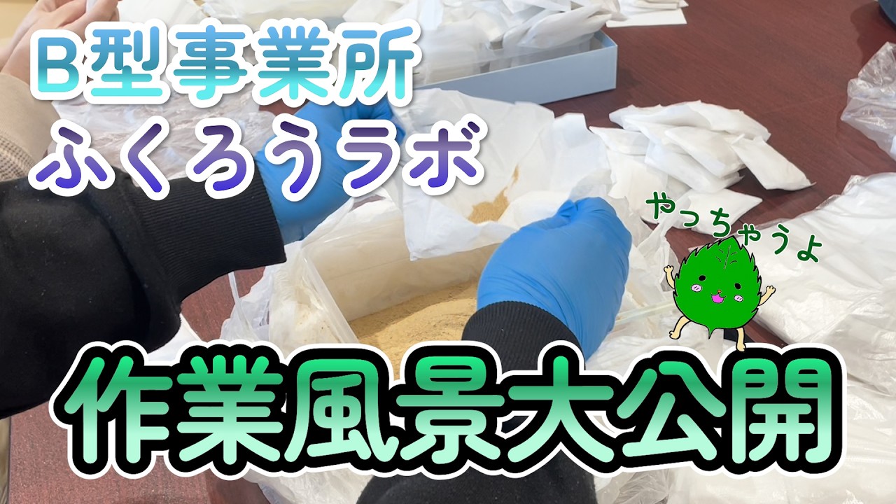 ちりめん・エビ選別の作業風景