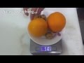 Stainless Steel Kitchen Scale