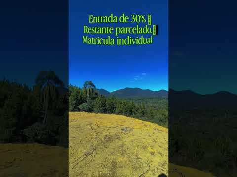 Chácaras em Quatro Barras no Paraná 41997779319