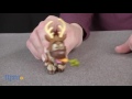 Hasbro FROZEN rinkinys Mažos lėlytės, asort, B5185EU4