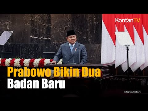 Kementerian Haji & Umrah Segera Dibentuk, Apakah Akan Ada Rekrutmen CPNS?
