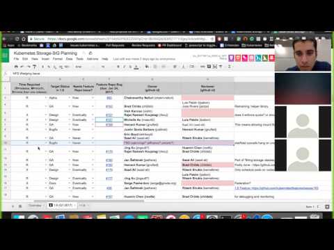 Kubernetes SIG Storage 20170216