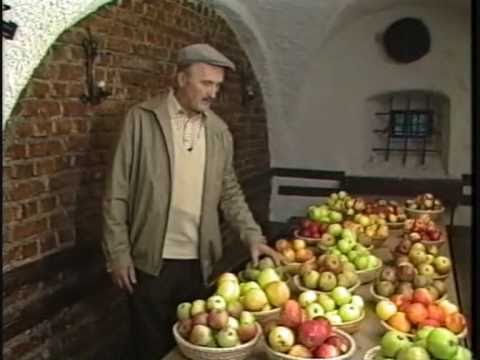 Sadjar in drevesničar France Lombergar