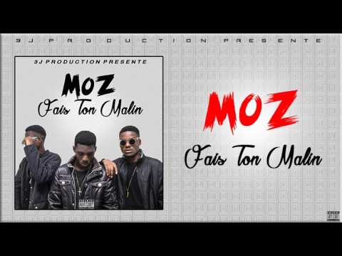 MOZ - Fais Ton Malin (Audio)