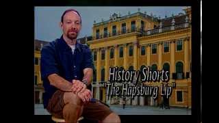 Hapsburg Lip