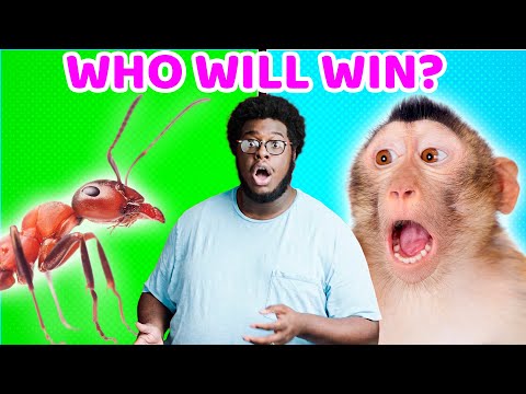 Witness21 Editor  2022 08 12