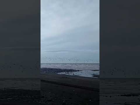 rio grande tierra del fuego