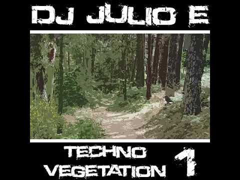 Carl Cox ◆ Charlotte De Witte ◆ Nina Kraviz - (Dj Julio E Techno Vegatation Mix)