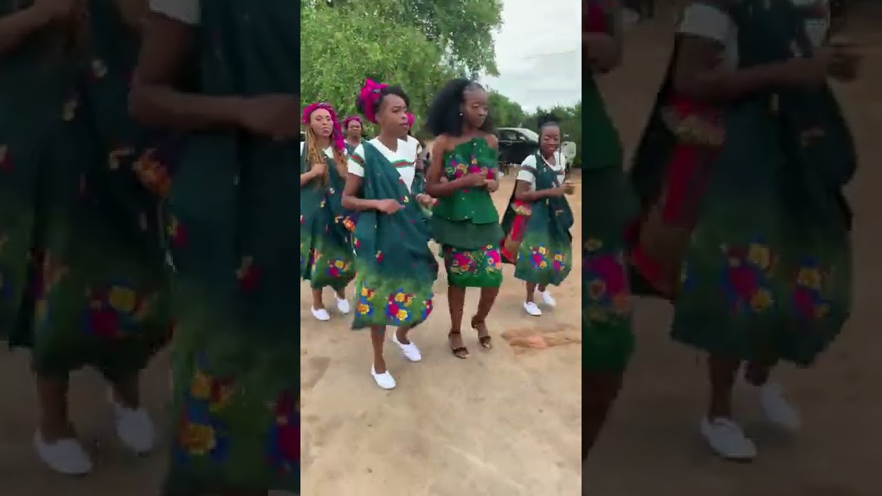 Tsonga traditional Wedding Entrance moves