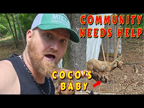 COCO HAD HER BABY!!! HELP THE COMMUNITY!!!