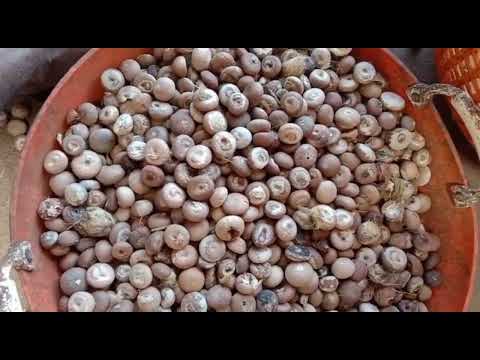 Dehusker dry arecanut dehusking machine 10 hp model, automat...