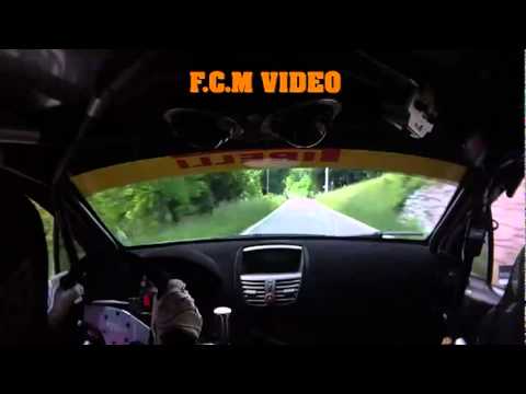 CameraCar Rally Città di Torino 2011 Pisi - Cagnasso Peugeot 207 Super 2000