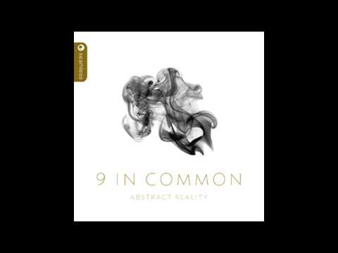 9 In Common - Ne Sommes Nous (Seamless Recordings)