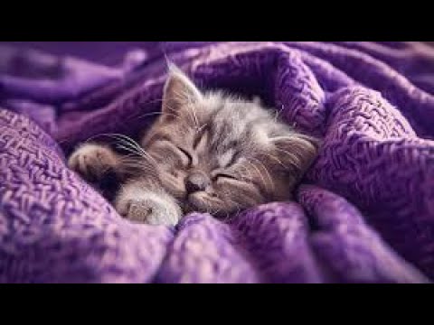 PSY TRANCE   GREEN DAY Holyday   Flash Jack remix first drop fixed