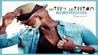 Willy William - te quiero