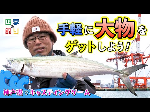 神戸港でキャスティングゲーム　手軽に大物をゲットしよう！（四季の釣り/2022年12月16日放送）