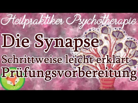 Heilpraktiker Psychotherapie: SYNAPSEN (Nervensystem) - wo Psychopharmaka wirken - für die Prüfung