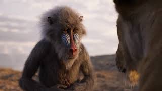 le roi lion 2019 &quot;l&#39;histoire de la vie&quot; / the lion king 2019 &quot;circle of life&quot; french version