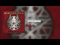 Disturbed - Darkness [Official Audio]
