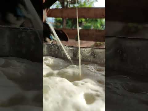 #roça #lidadecampo #agro #trabalhonocampo #vidarural #aroçavenceu #vidanocampo #pecuaria