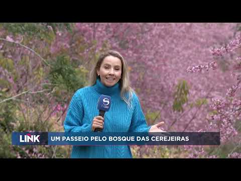 Alfredo Chaves - Bosque das Cerejeiras