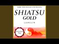 Shiatsu Gold in the Mysts of Sleep