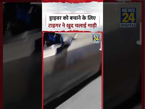 Tiger Shroff Firing Video | ड्राइवर को बचाने के लिए टाइगर ने खुद चलाई गाड़ी | #tigershroff