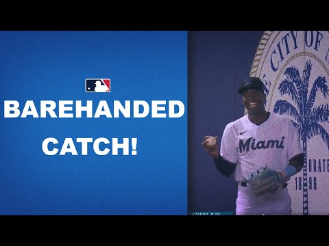 Jesús Sánchez makes an UNREAL barehanded catch!